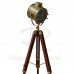 Antique Finish Designer Floor Lamp